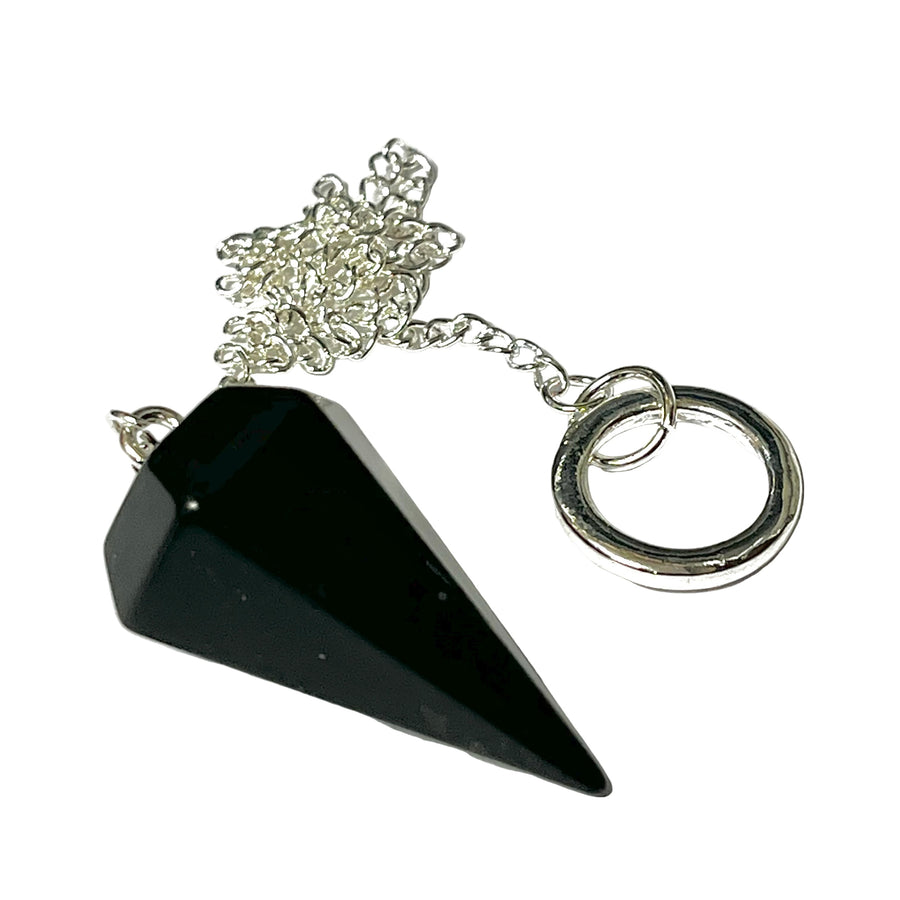 Pendulum Shungite 6 Sided | Carpe Diem With Remi