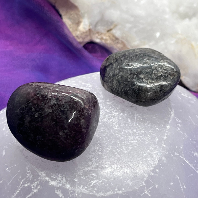 Black Rhodonite Tumble Stone