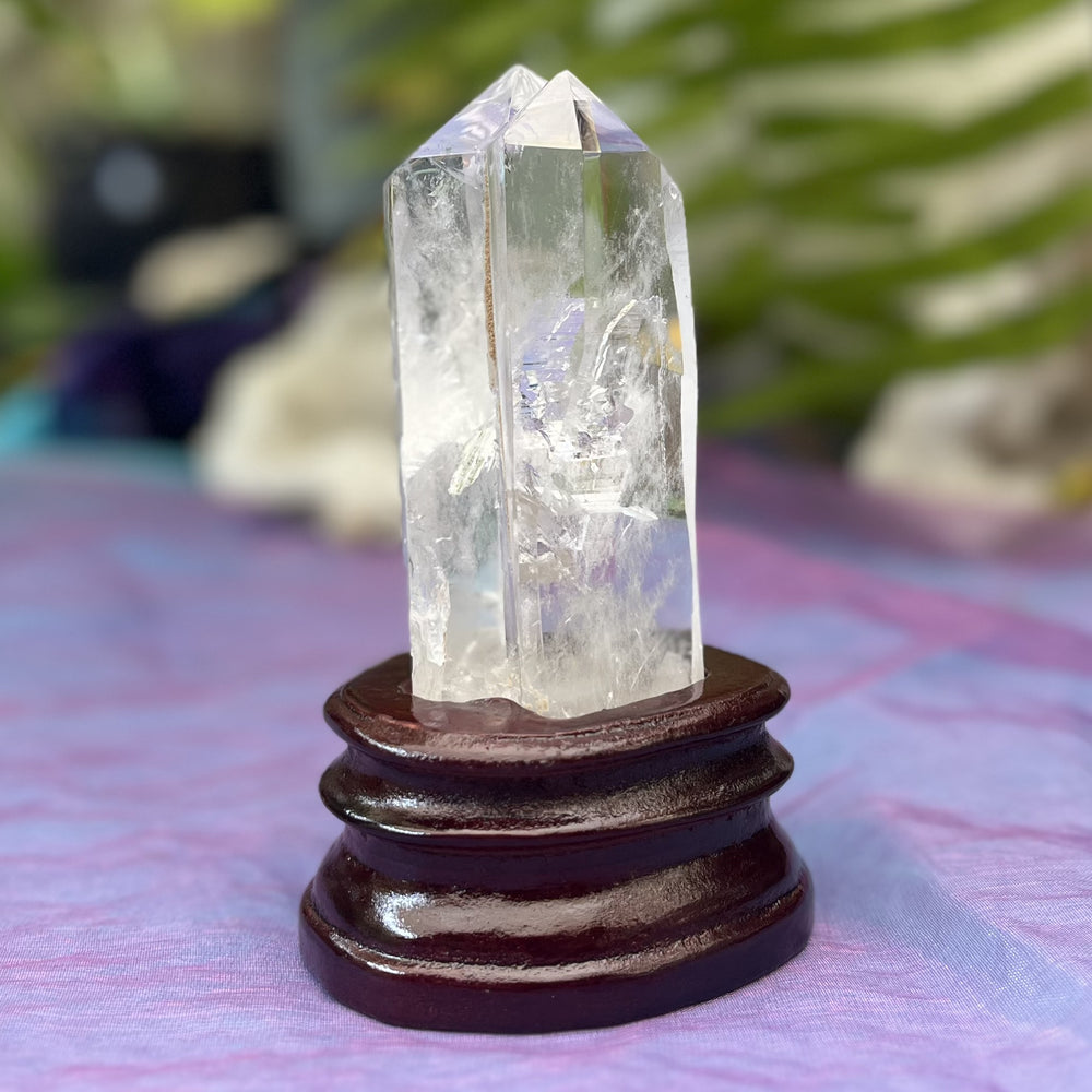 Clear Quartz Twin Tabby Lightbeam / Rainbow | Carpe Diem With Remi