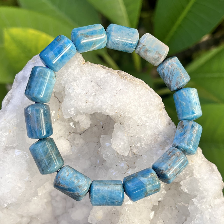 Bracelet Blue Apatite Barrel Beads | Carpe Diem With Remi