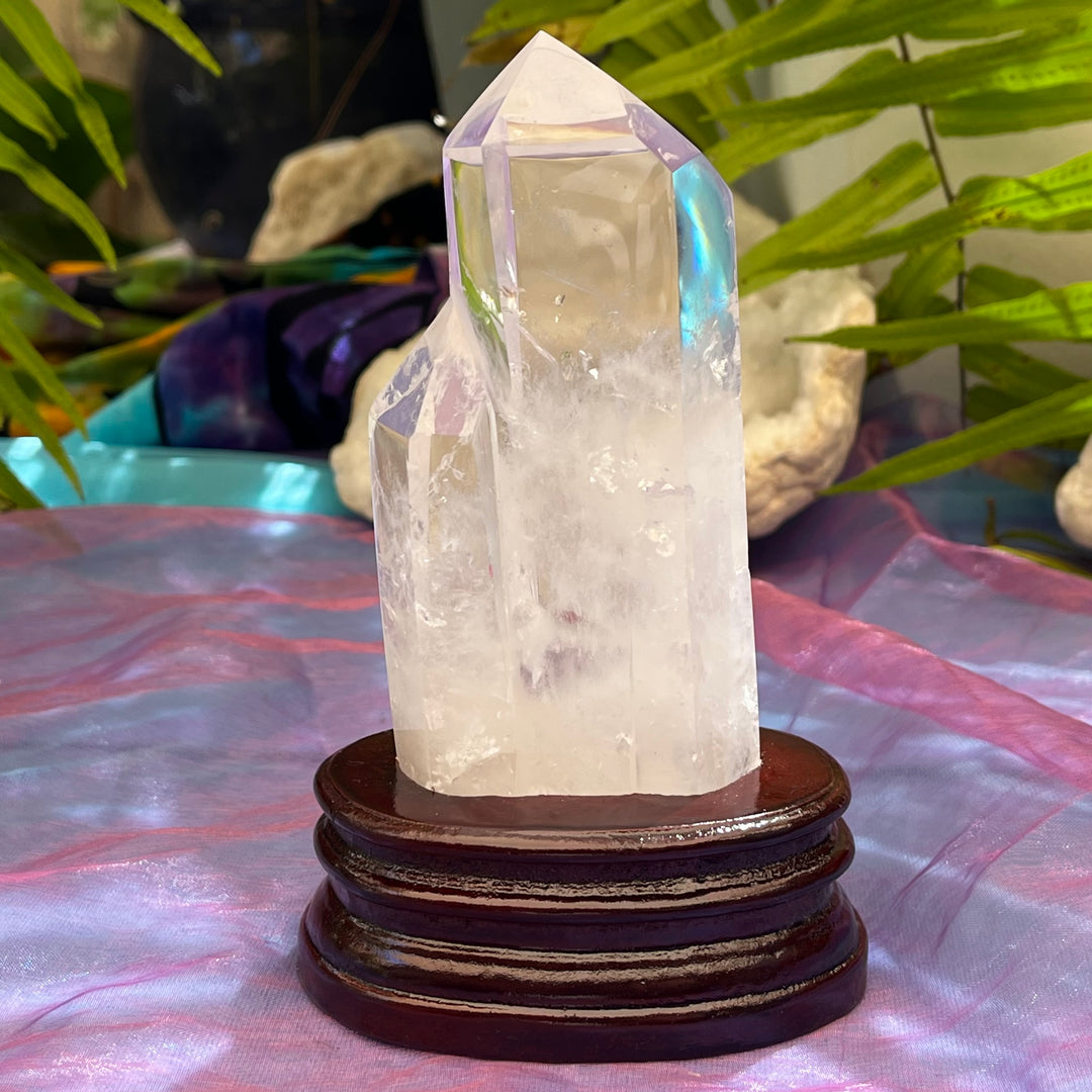 Clear Quartz Twin Male Female / Clarity | Carpe Diem With Remi