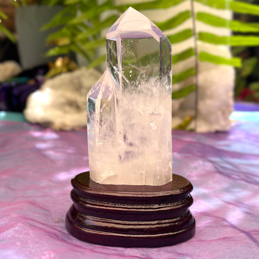 Clear Quartz Twin Male Female / Clarity | Carpe Diem With Remi