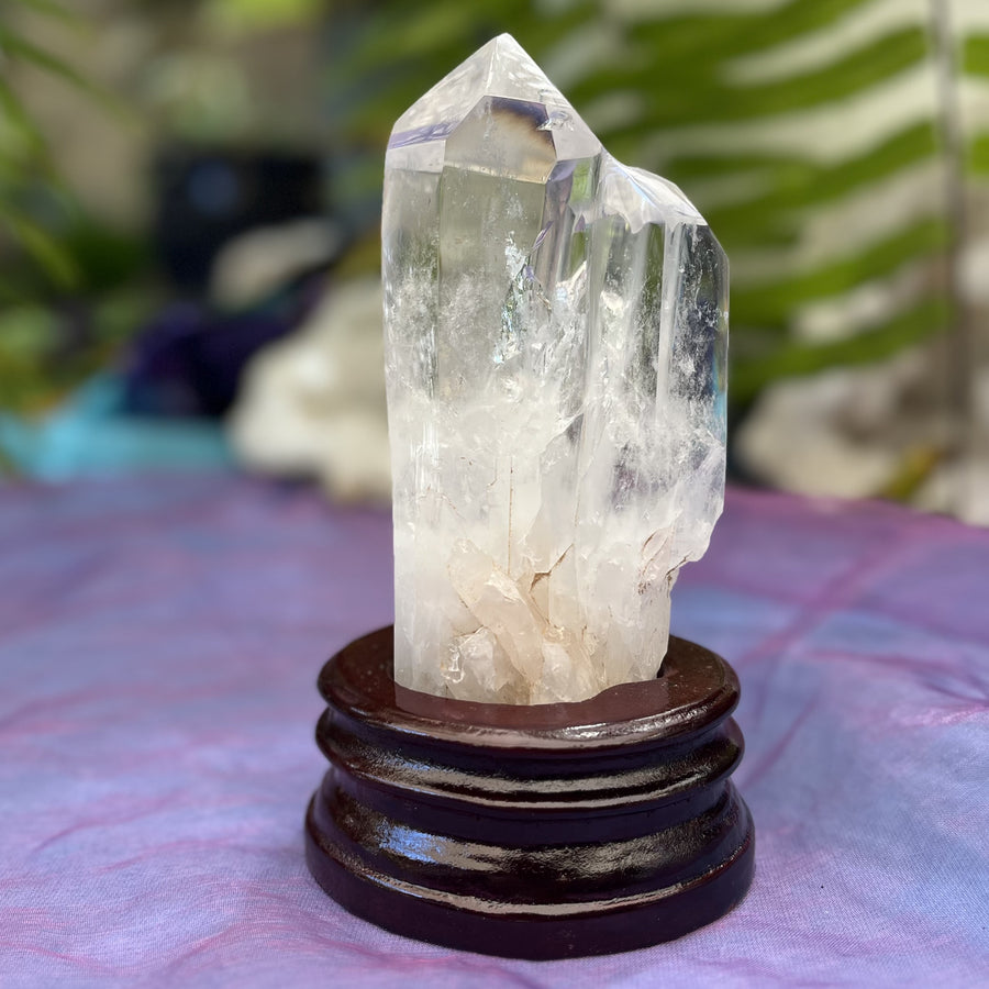 Clear Quartz Point with Large Rainbow | Carpe Diem With Remi
