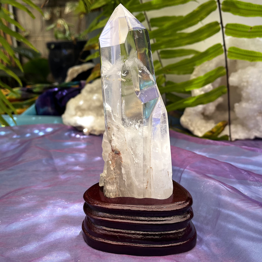 Clear Quartz Point with Chlorite | Carpe Diem With Remi