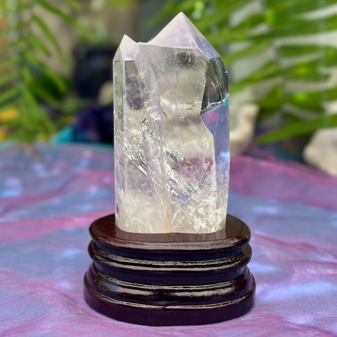 Clear Quartz Point Mother and Tabby Baby | Carpe Diem With Remi