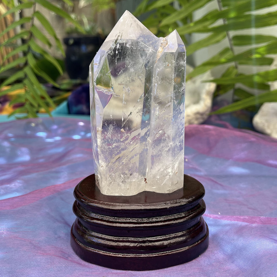 Clear Quartz Point Mother and Tabby Baby | Carpe Diem With Remi