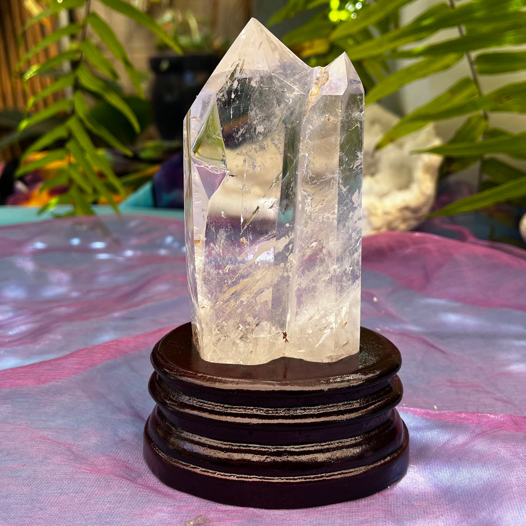Clear Quartz Point Mother and Tabby Baby | Carpe Diem With Remi