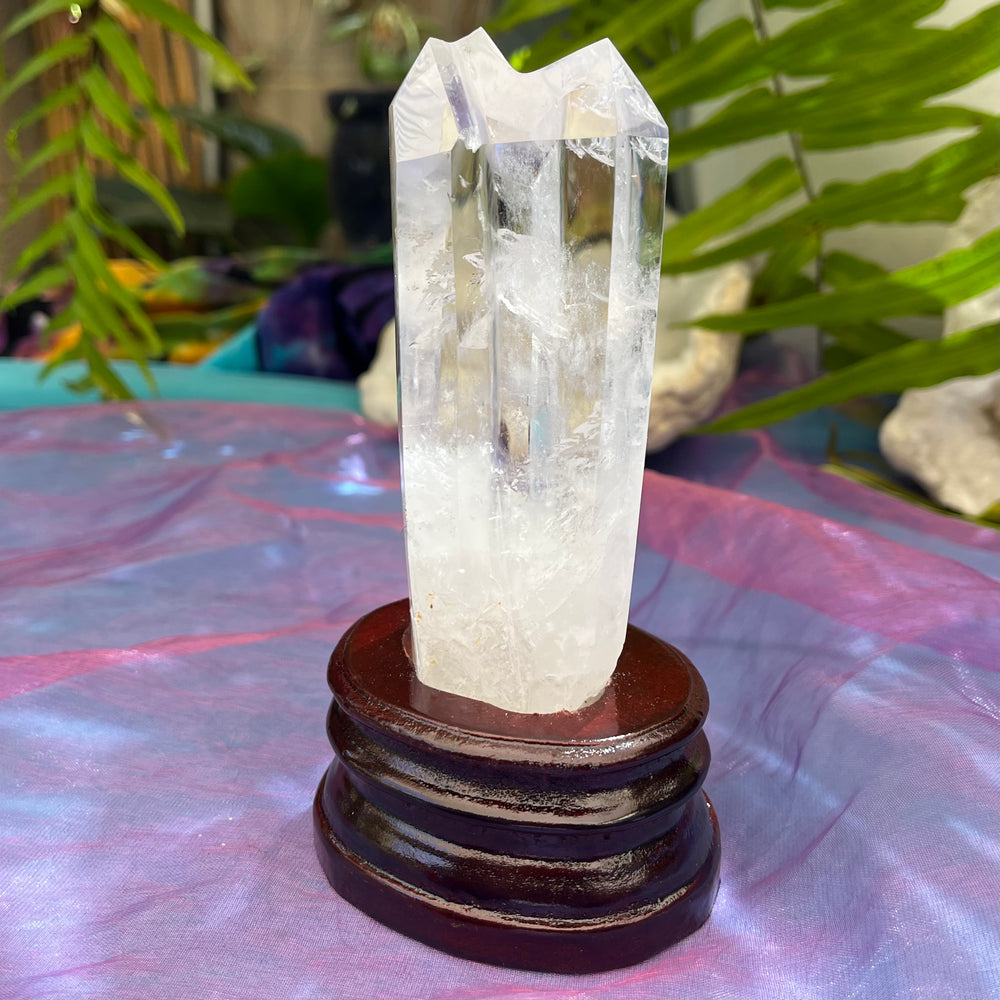 Clear Quartz Point Mother and Tabby Baby | Carpe Diem With Remi