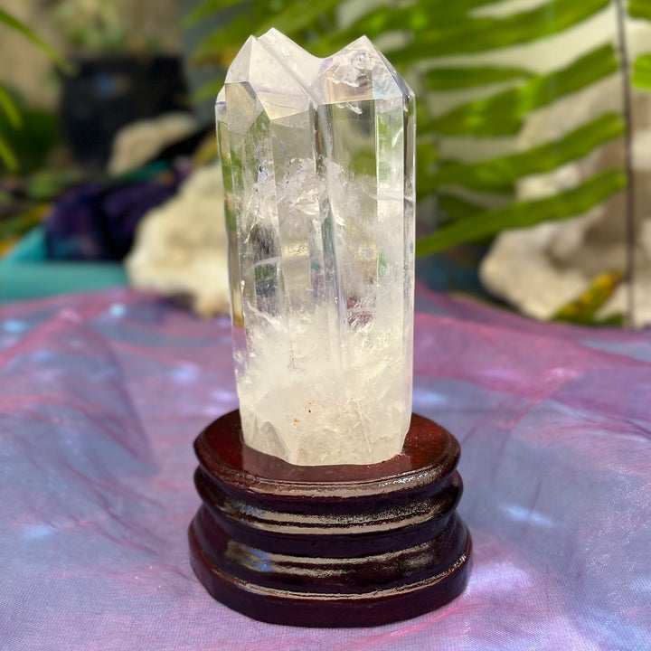 Clear Quartz Point Mother and Tabby Baby | Carpe Diem With Remi