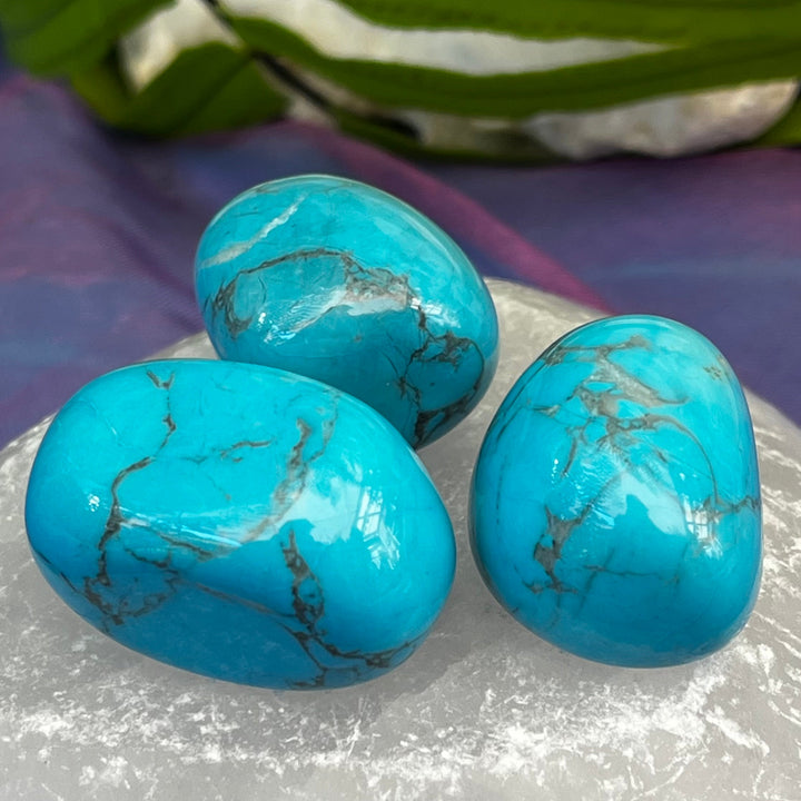 Howlite Turquoise Tumble Stone