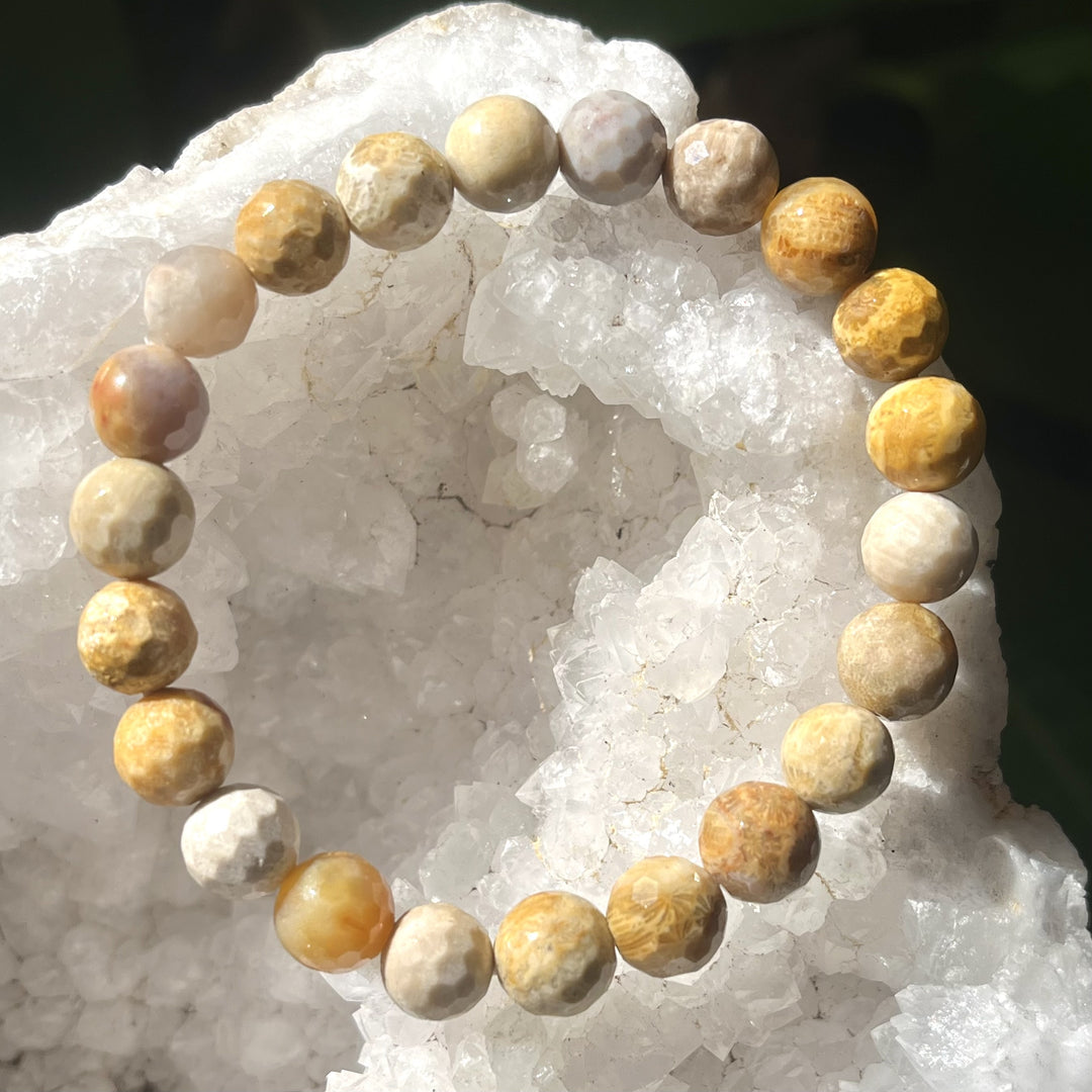 Bracelet Petrified Wood Faceted Beads 8 mm