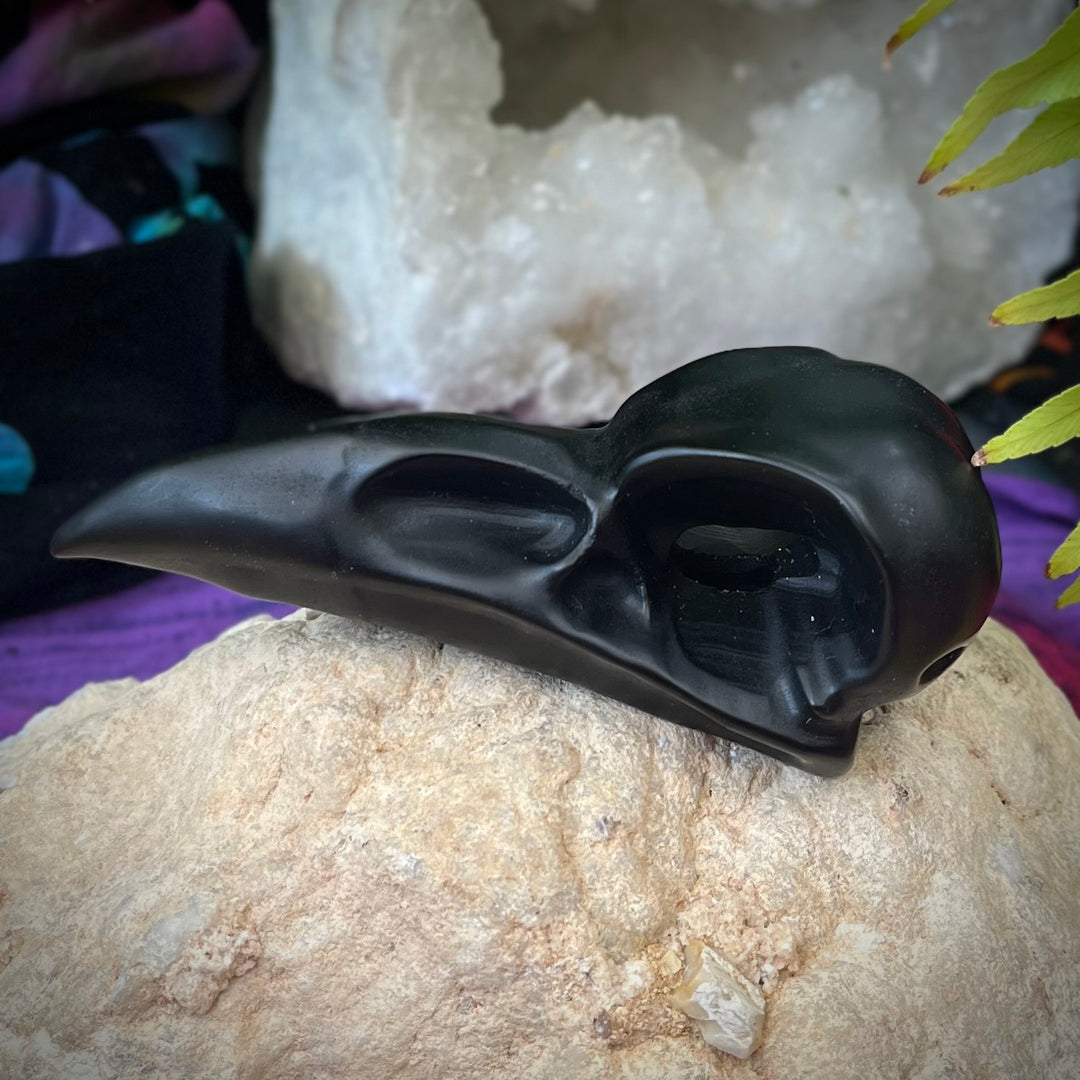Raven Skull Black Obsidian 10 cm