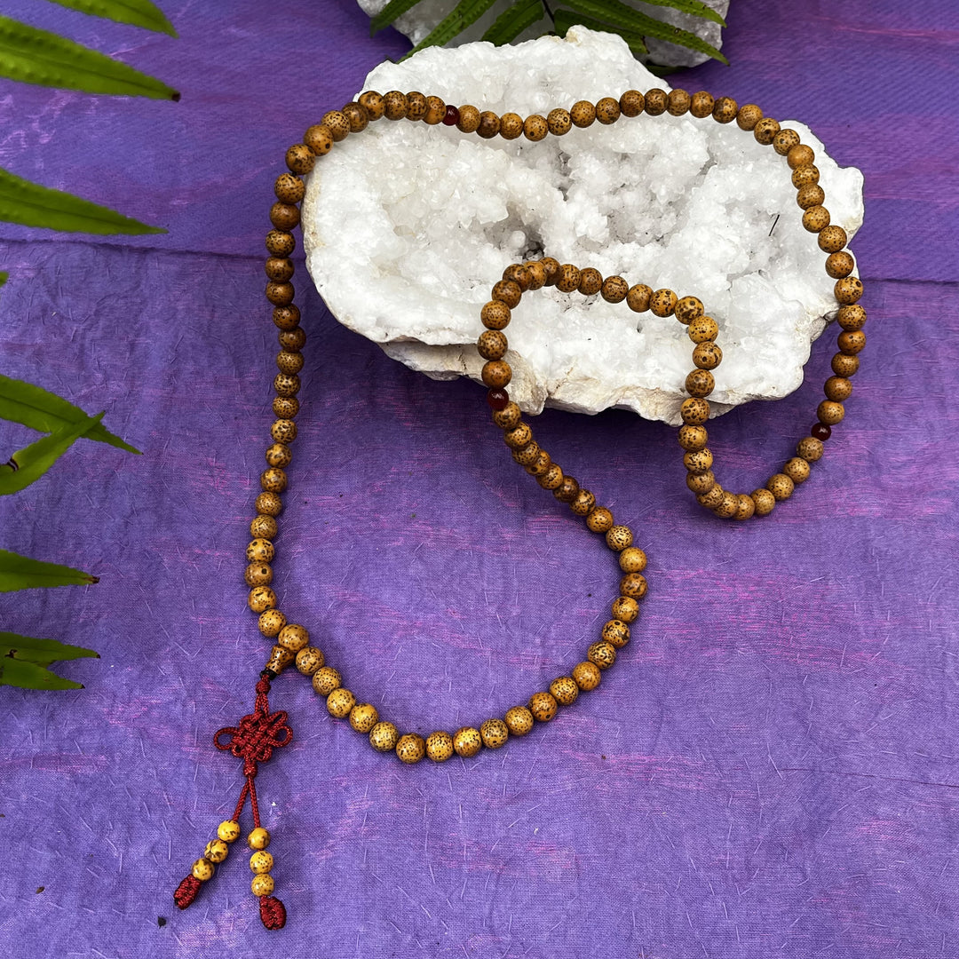 Mala Beads Lotus Seeds 8mm