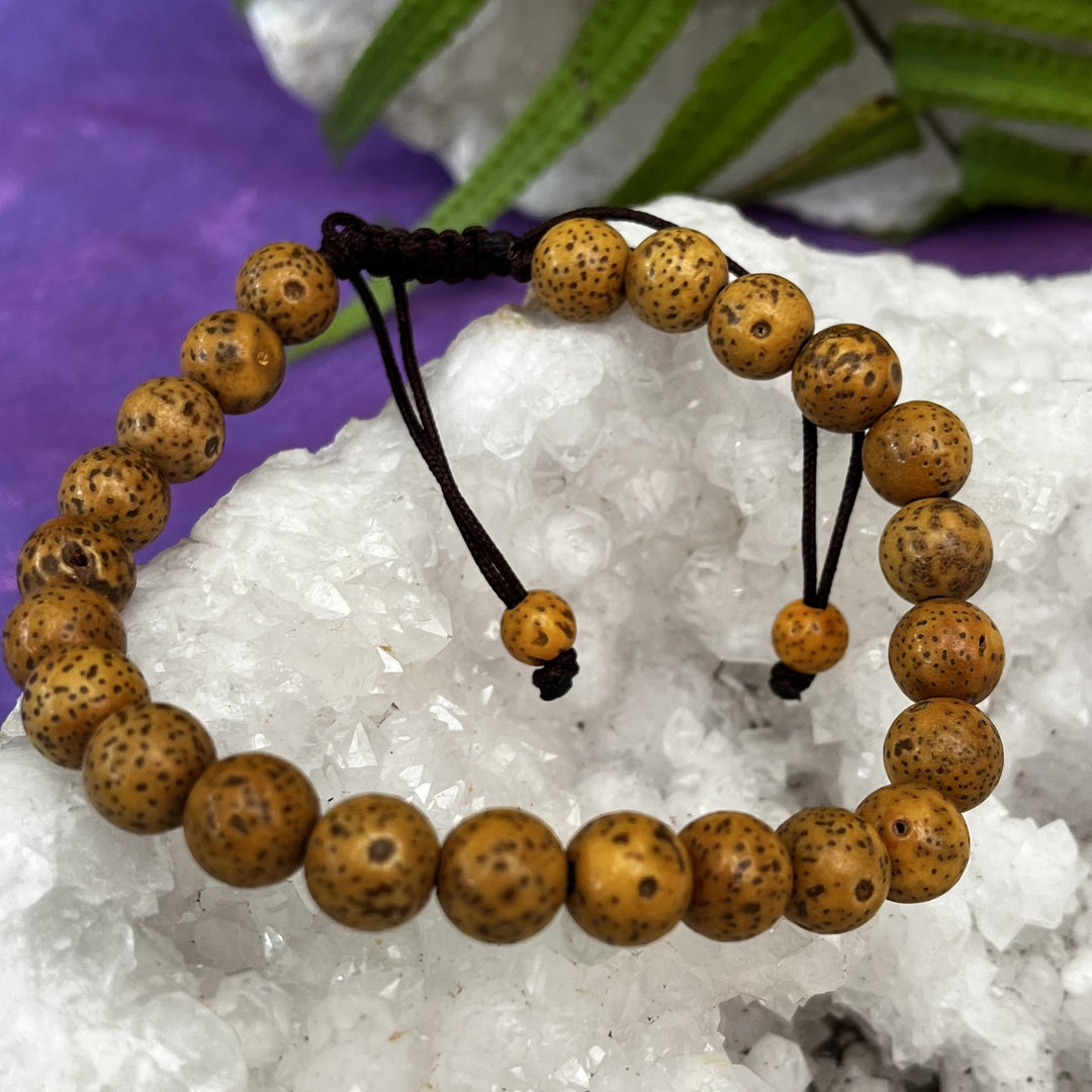 Bracelet Sacred Lotus Seeds 8mm