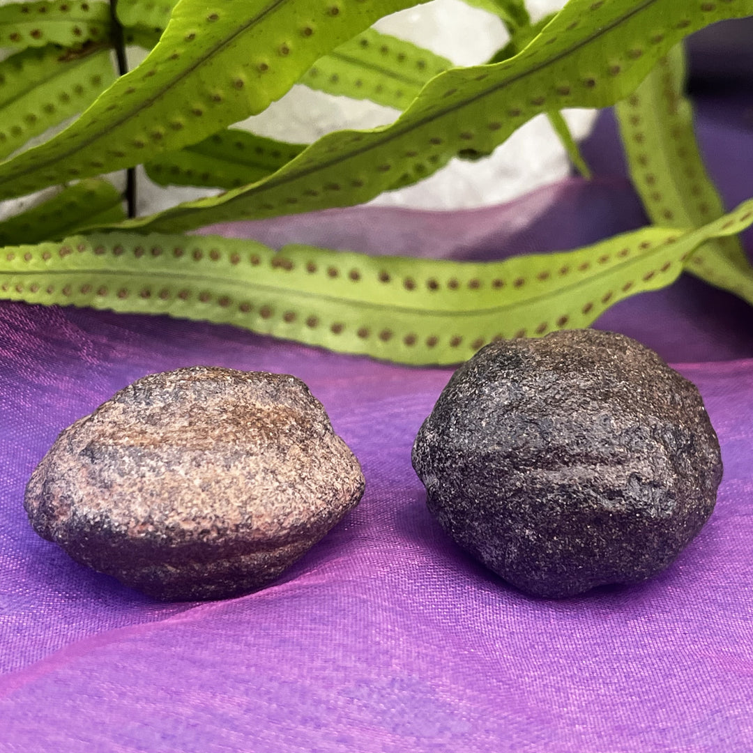 Shaman Stones Mocqui Balls Pair | Carpe Diem With Remi