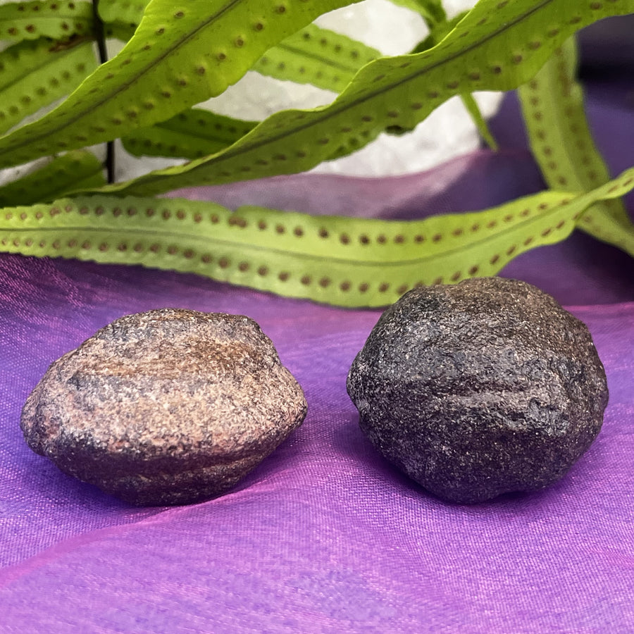 Shaman Stones Mocqui Balls Pair | Carpe Diem With Remi