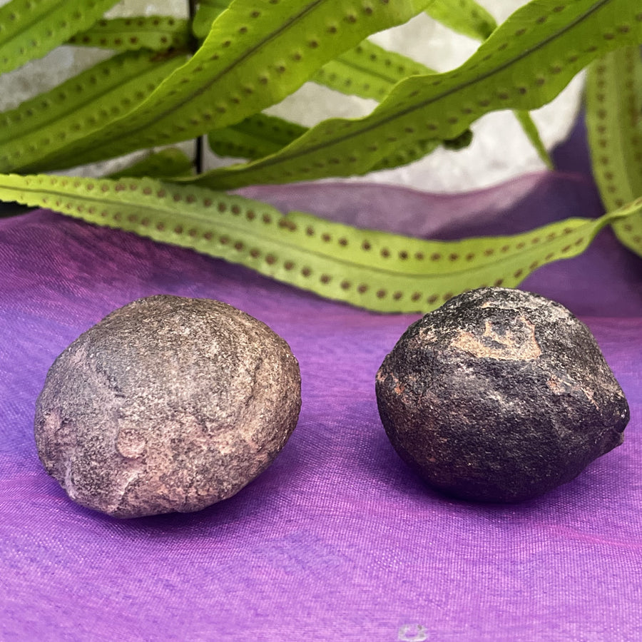 Shaman Stones Mocqui Balls Pair | Carpe Diem WIth Remi