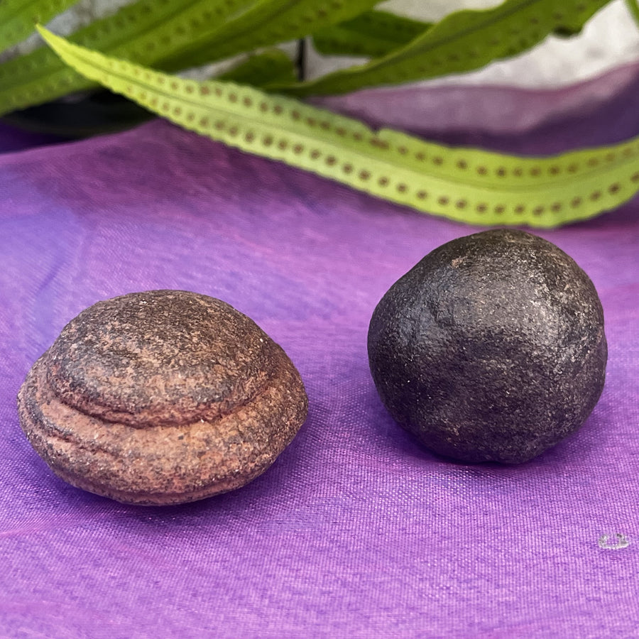 Shaman Stones Mocqui Balls Pair | Carpe Diem With Remi