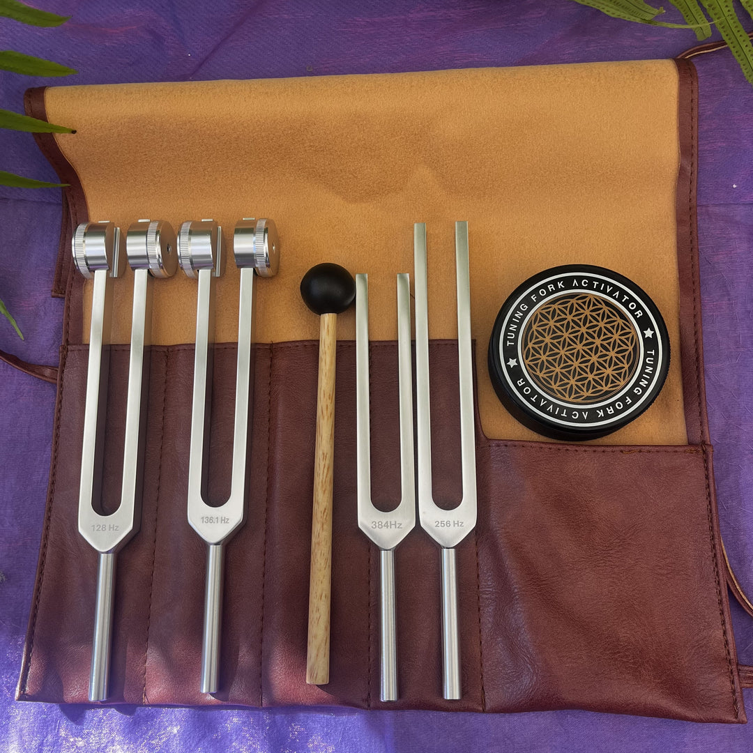Tuning Fork Set 128, 256, 512, 528 Hz with Carry Case
