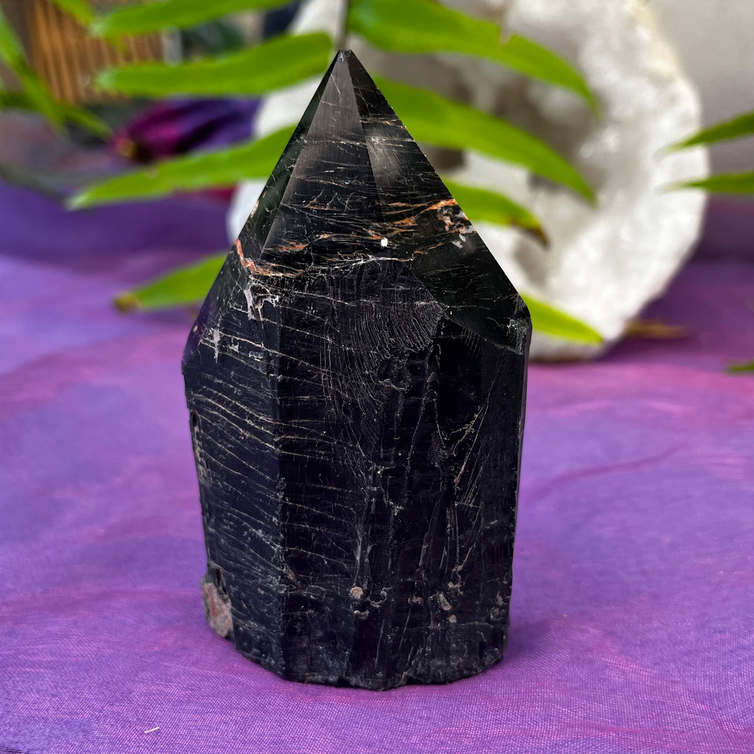 Point Tiger Iron Freeform | Carpe Diem With Remi