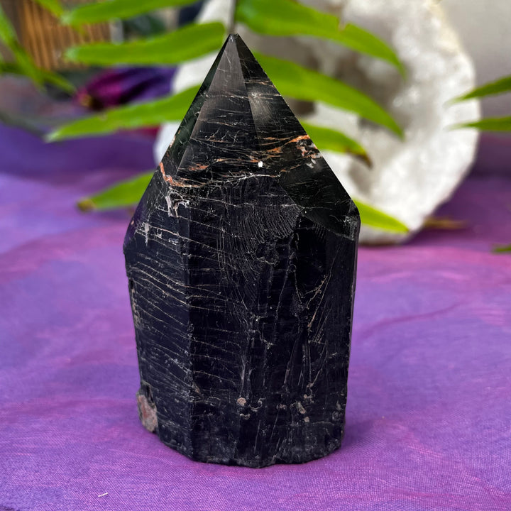 Point Tiger Iron Freeform | Carpe Diem With Remi