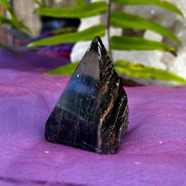 Point Tiger Iron Freeform | Carpe Diem With Remi