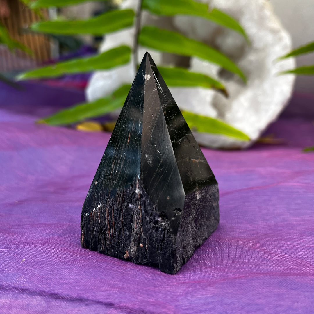 Point Tiger Iron Freeform | Carpe Diem With Remi