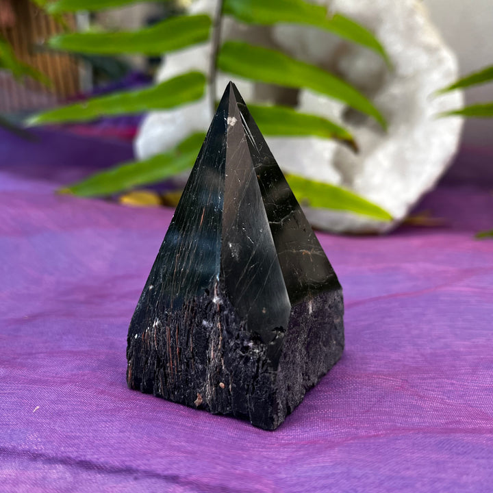 Point Tiger Iron Freeform | Carpe Diem With Remi