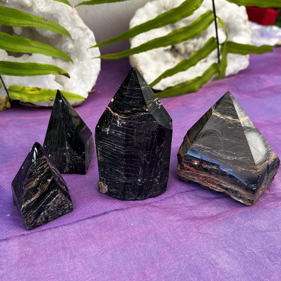 Point Tiger Iron Freeform | Carpe Diem With Remi