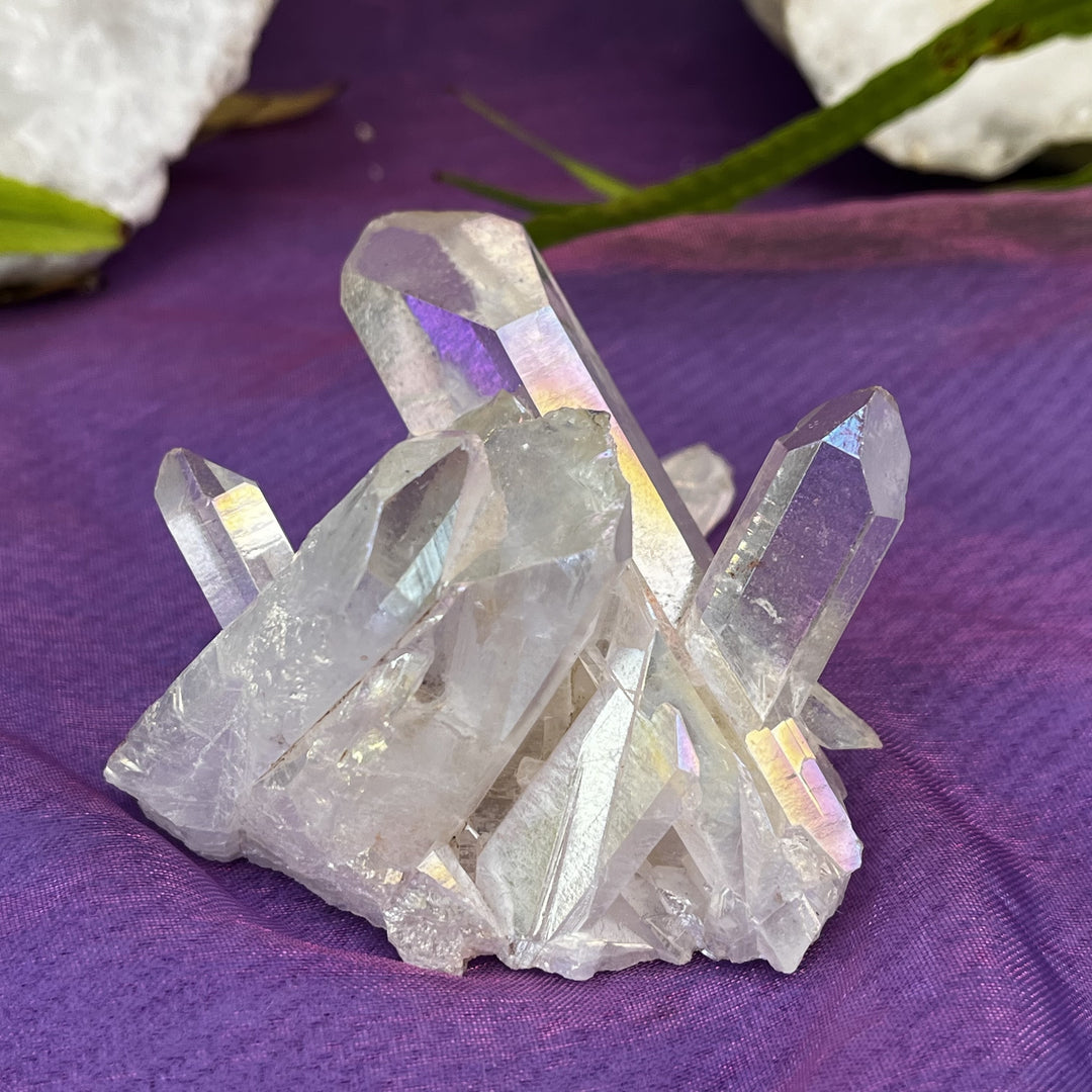 Angel Aura Cluster 7.2 cm