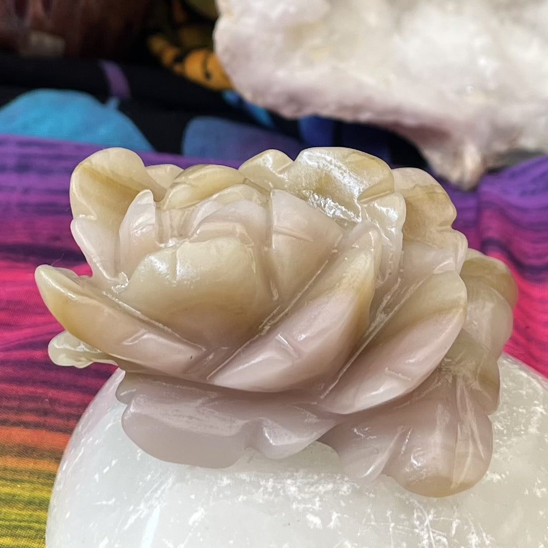 Flower Jade Afghanistan