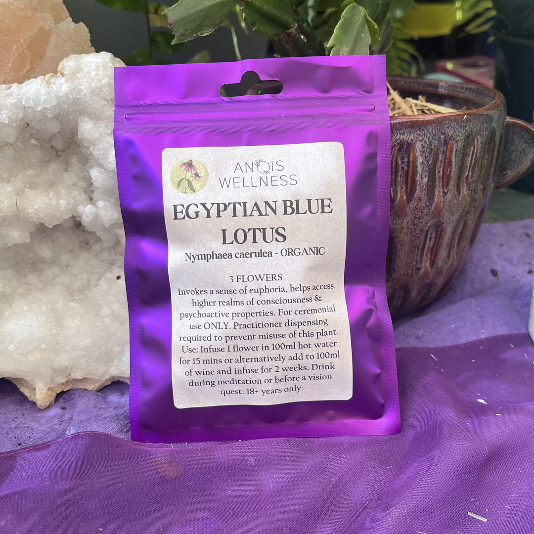 Herb Egyptian Blue Lotus Organic
