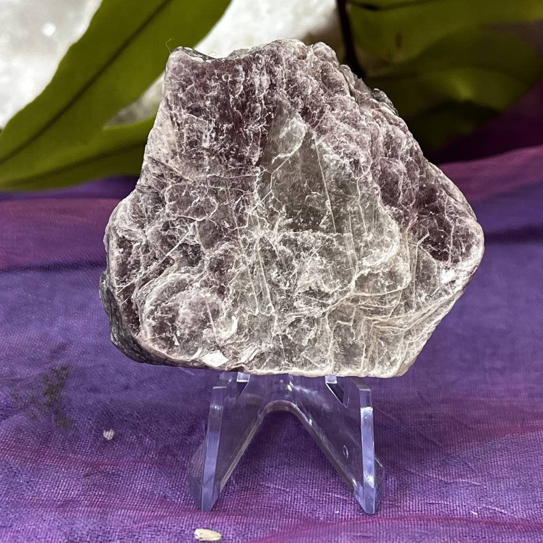 Lepidolite Mica Slice on Stand 5.0 cm