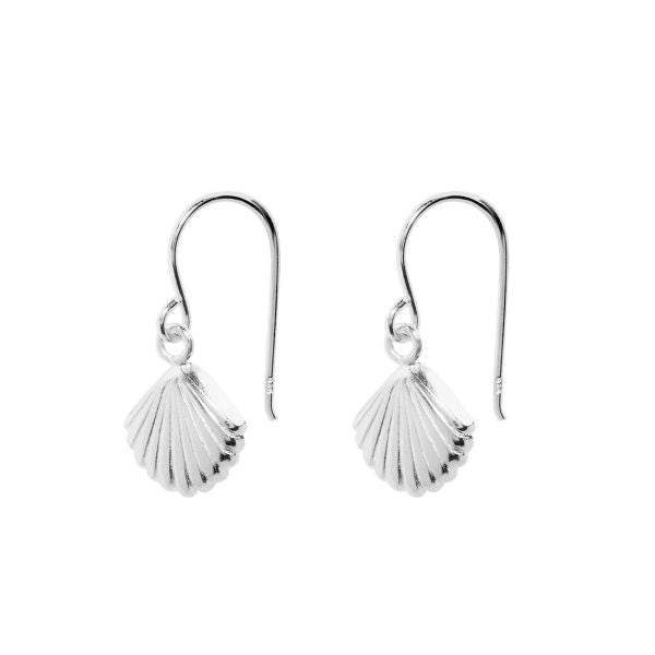 Earrings Shell Silver 2.1 cm