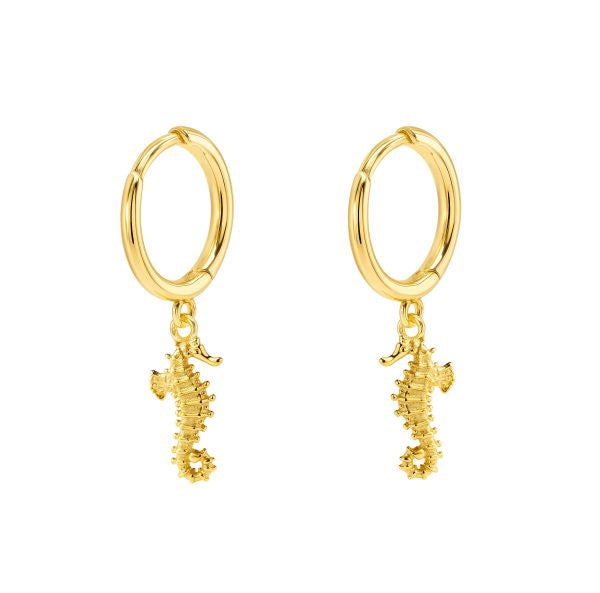 Earrings Seahorse Mini Hoops Gold Plated