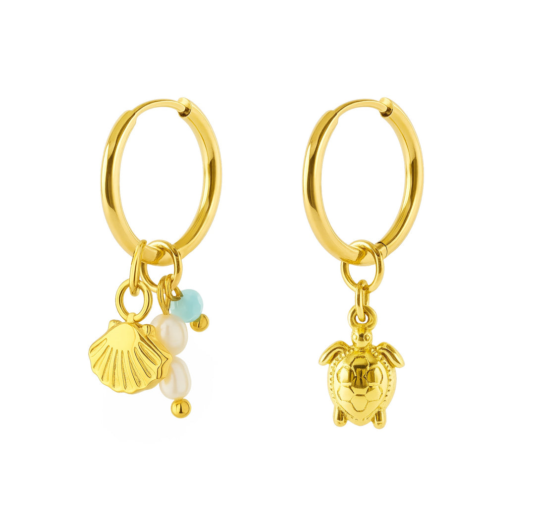 Earrings Turtle and Shell Gold Stainless Steel