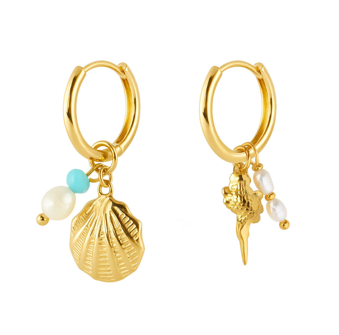Earrings Shell Gold Stainless Steel 3.3 cm