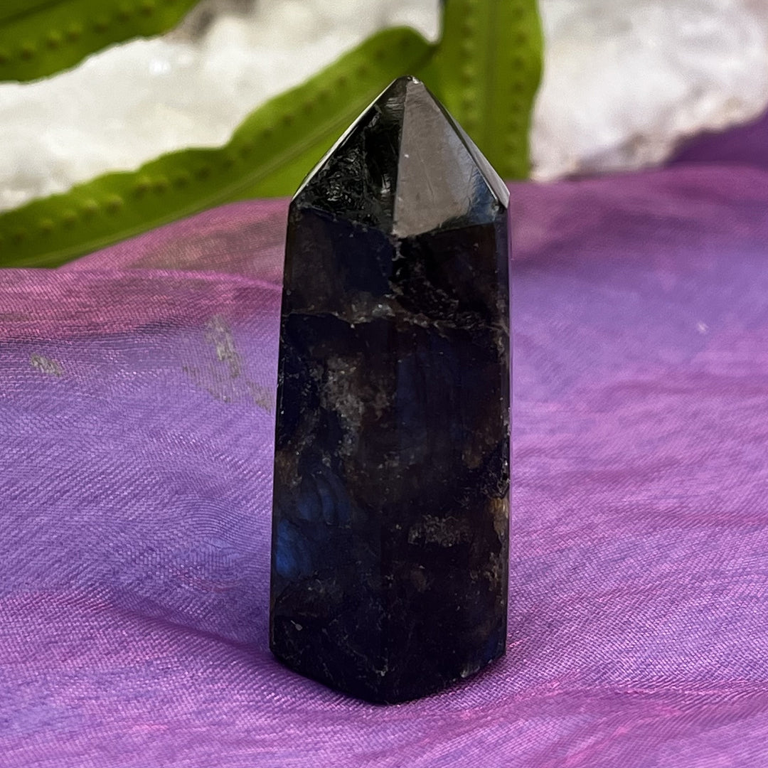 Generator Labradorite Natural Flaws 4.8 cm