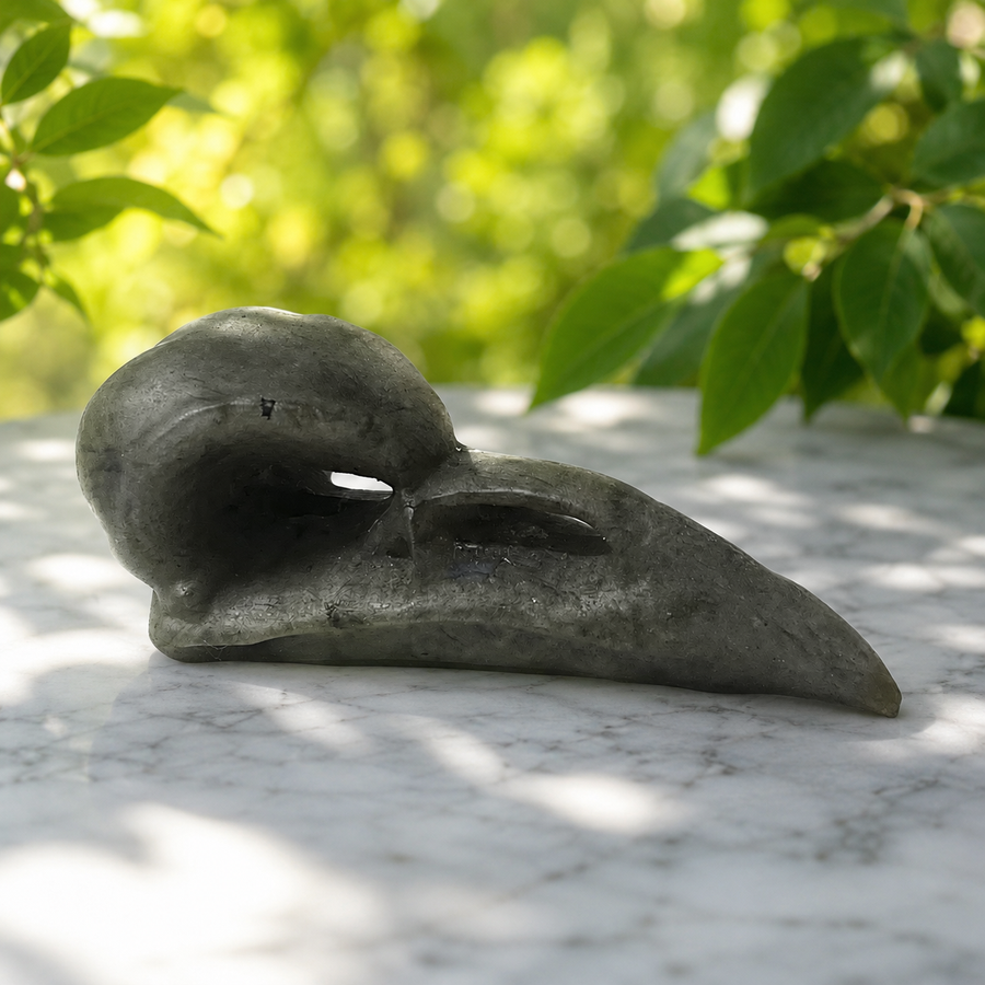 Raven Skull Labradorite 9.1 cm | Carpe Diem With Remi