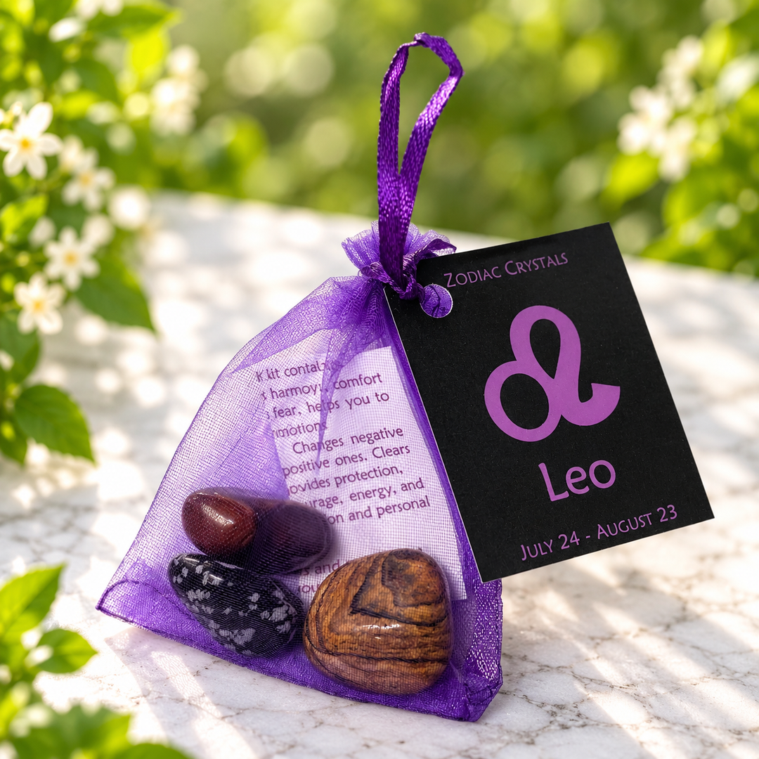 Leo Zodiac Kit | Carpe Diem With Remi