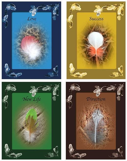 Australian Feather Magic Oracle Cards Special Price | Carpe Diem With Remi