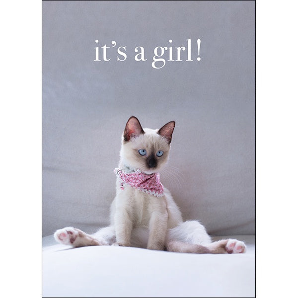 It's a girl Kitten Card
