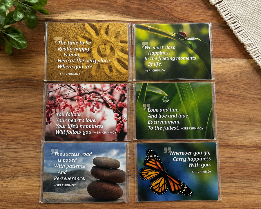 Magnet Inspiration Assorted 9 cm | Carpe Diem With Remi