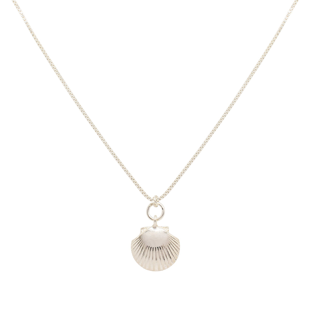 Necklace Shell on Box Chain