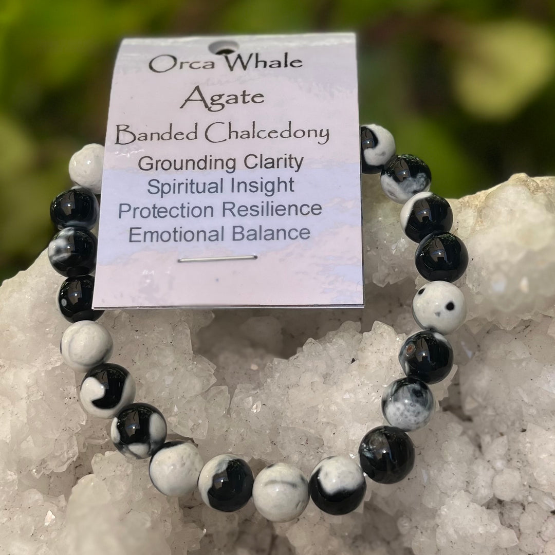 Bracelet Orca Whale Agate 8mm Beads