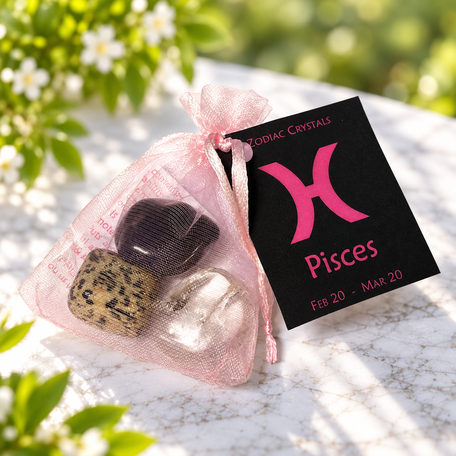 Pisces Zodiac Kit | Carpe Diem With Remi