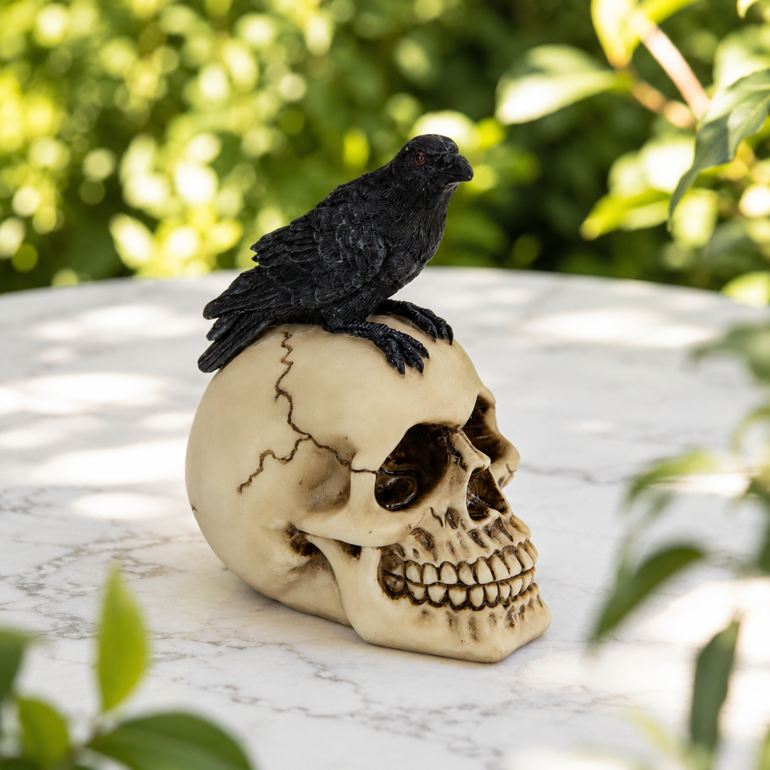 Raven on Skull Decor 12 cm