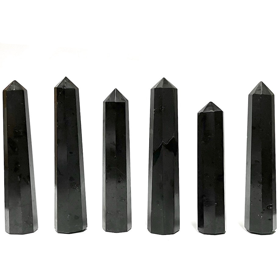 Tower Black Tourmaline 8 Sided | Carpe Diem with Remi