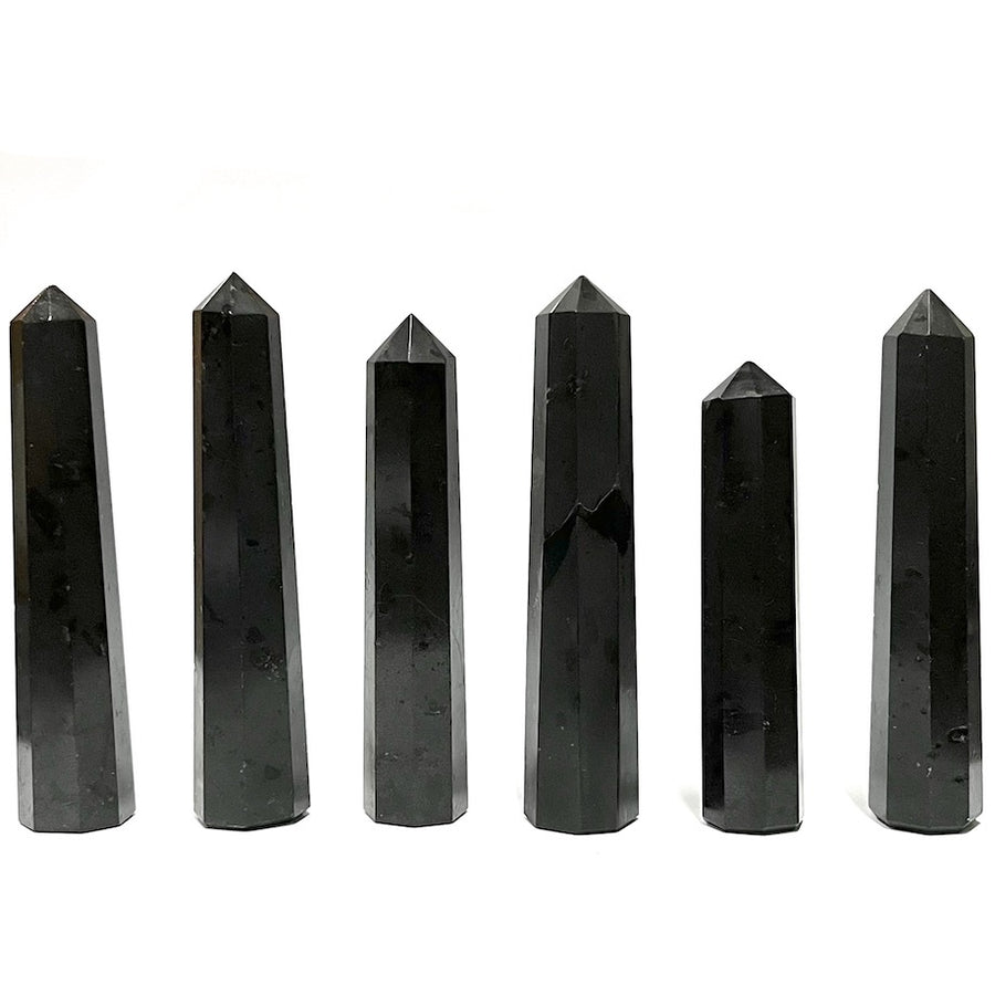 Tower Black Tourmaline 8 Sided | Carpe Diem with Remi
