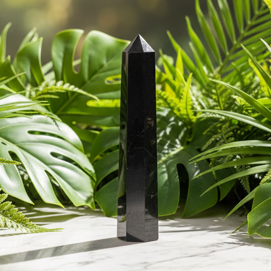 Generator Black Tourmaline Point